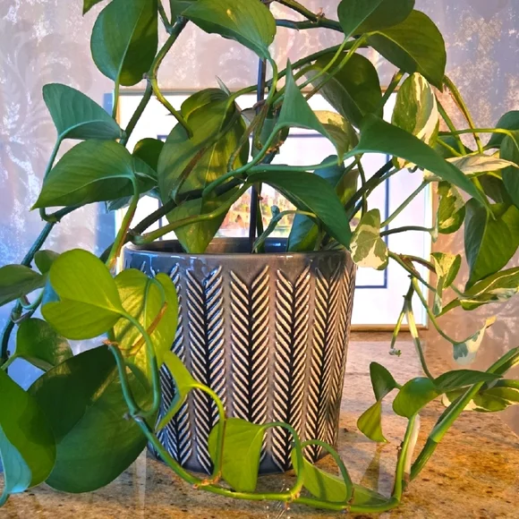 Chevron Patterned Gray Planter - Picture 1 of 8